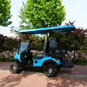 Commercial Grade 4 Passenger Sightseeing Golf Cart Electric 60V AC Motor CE Certified Off Road Tires Park Campus Resort Patrol
