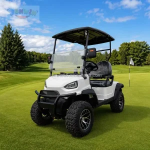 Compact 2 Seater Golf Cart Portable Design Easy Charging for Small Resorts and Villas