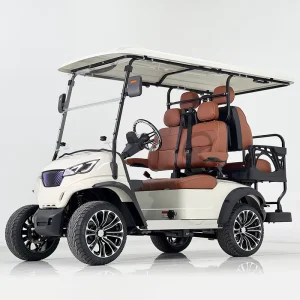 Compact Size Electric Golf Cart with 48v Battery Voltage for Landscape Work