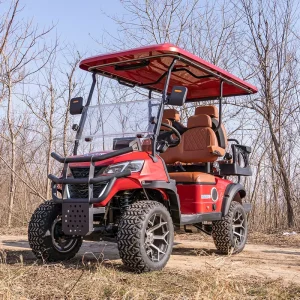 Container 2 Passenger Electric Golf Cart with Ball Bag