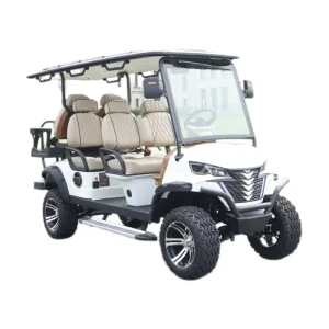 Convenient and Compact Usa Street Legal Ac Motor Transaxle New Design Golf Cart