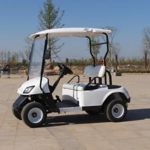 Cost Effective 48V 2 Seater Electric Golf Cart for Hotels & Golf Courses