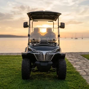 Custom 2 Seater Electric Golf Cart with Lithium Battery and CE Certification