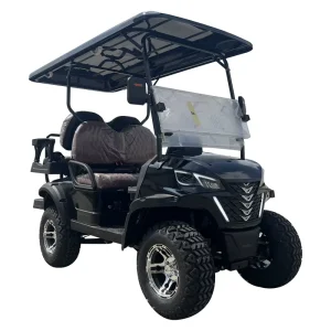 Custom 4-Wheel Drive Electric Golf Carts 2+2 Seater Street Legal in the US Chinese-made for Adults