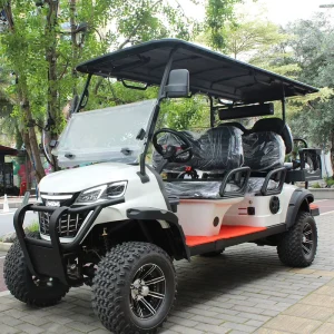 Custom 6 Person 48 Volt Golf Cart CE Certificate Electric Golf Cart With Lithium Battery