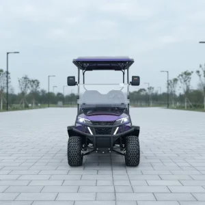 Custom 6 Seater Electric Golf Cart 14 inch Alloy Rims LED Lighting Lithium Powered 48V 5KW AC Motor 30 40km h Personal Vehicle