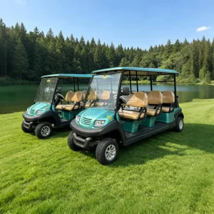Custom 8 Seater Golf Cart