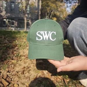 Custom Classic Green 3D Embroidered Adjustable Streetwear Dad Hat for Daily Wear Baseball Cap
