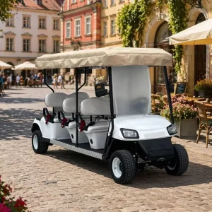 Custom Color Luxury Interior 6+2 Seater Electric Golf Cart for Community