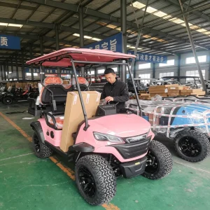 Custom Colors 4 Seater Electric Golf Cart & Tourist Car with 30-50Km/h Speed and 90km Range for Golf Clubs