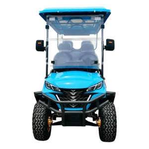 Custom Comfortable 6 Seaters Electric Golf Cart with 90km Range