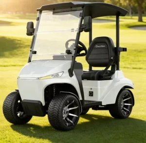 Custom Configuration Electric Cart Lightweight Golf Cart for Golfer 48V 1500W Electric Golf Cart