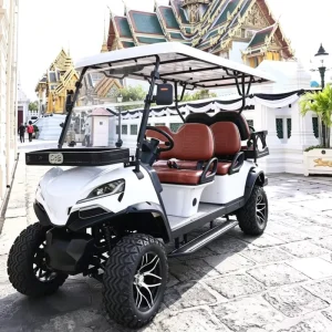 Custom Electric Golf Carts Street Legal 6 Seat 48V Lithium Battery 70 90km Range CE Eec Certified