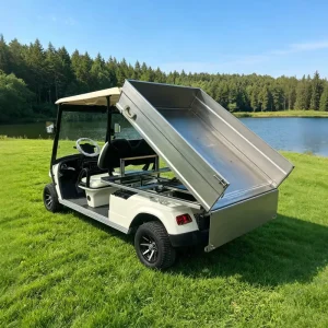 Custom Electric Utility Golf Carts 2 Seater Chinese Vehicle