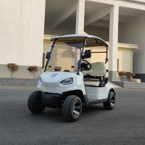 Custom Golf Cart for Promotion