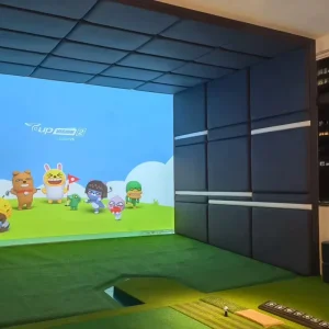 Custom Indoor Golf Wall Pane