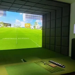 Custom Indoor Golf Wall Pane