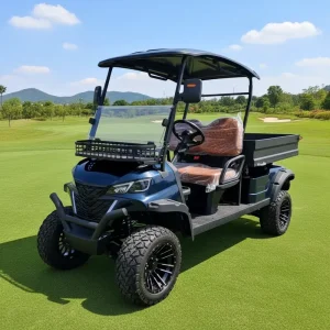 Custom Lifted Electric Golf Cart 4 Seater Off Road Buggy All Terrain Tires Street Legal with Lithium Battery 7.5kW AC Motor Car