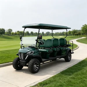 Custom Livery 4 Seater Electric Golf Cart 72V Lithium DOT Approved for US with Rear Cargo Box