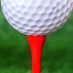 Custom Logo Printed Custom Color Golf Tees Natural Wood Tee Assortment 42mm 54mm 70mm 83mm with Custom Packaging Ball Addressing