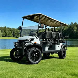 Custom Manufacturer Chinese Golf Carts Factory Lithium Battery 4+2 6 Seater Golf Cart