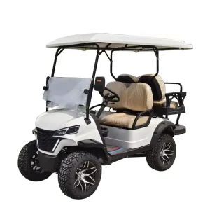 Custom New Model Wide 4 Wheel Drive Comfortable Electric Golf Carts High Quality Electric Golfcart at Low Price