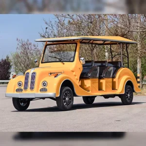 Custom Off Road 8 Seater Golf Cart Gasoline Cargo Lifted Export Ready South America with Quality Assurance Program Features