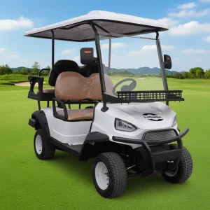 Custom Off Road Golf Cart 4 Seater Golf Cart Electric Buggy for Sale