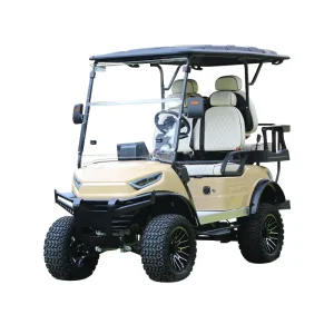 Custom Private Mold Electric Lift Golf Cart 4 Seats Factory Price Golf Cart for Sale