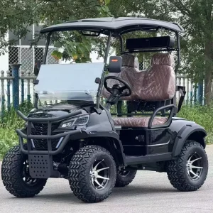 Custom Street Legal 2 Seater Electric Golf Cart Road Licensed