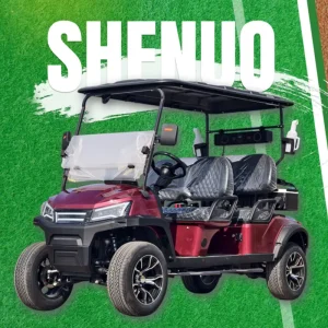 Custom Street Legal Golf Carts Four Wheel Electric Golf Cart and Electric Club Car Golf Cart