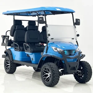Custom6 Seater Electric Golf Buggy Carts 4 Wheel Drive with 48v Lithium Battery 48v Electric Golf Cart