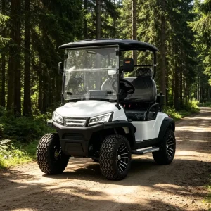 Customised 4 Seater Electric Golf Cart 48V Lithium Battery 5kW GCC Certified Electric Golf Cart