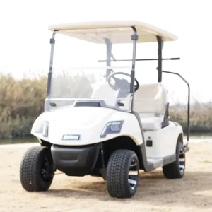 Customizable 2 Seater Electric Golf Carts