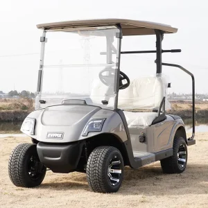 Customizable 2 Seater Four Wheel Golf Car Reasonable Prices 48V Electric Golf Cart
