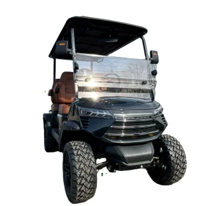 Customizable 4 Seater Black Electric Golf Cart Suitable for Golf Course Resorts