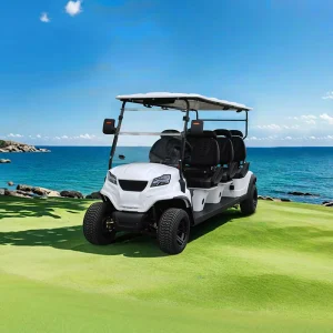 Customizable 6 Seater Golf Cart 48V Street Legal Electric Golf Cart