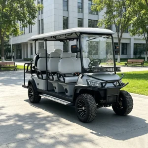 Customizable Body Color 4 Seater Electric Golf Cart with Added Rear Cargo Box Extra Storage 72V Lithium DOT for US