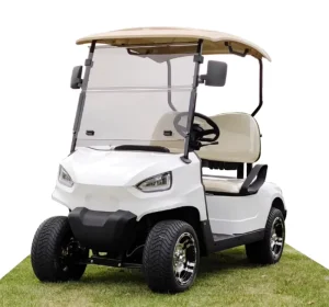Customizable Colors New City Motorized Electric Non Lifted Golf Cart