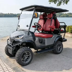 Customizable Electric Golf Cart 2+2 Seats 48 Volt