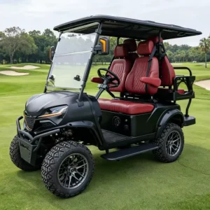 Customizable Electric Golf Cart 2+2 Seats 48 Volt for Resort or Course Use