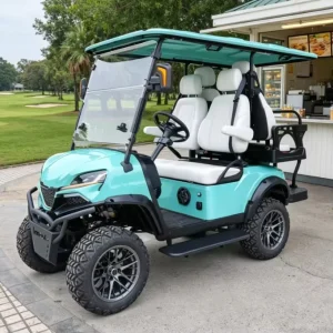 Customizable Electric Golf Cart 4 Seats 48 V