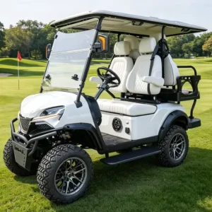 Customizable Electric Golf Cart 4 Seats 48 V