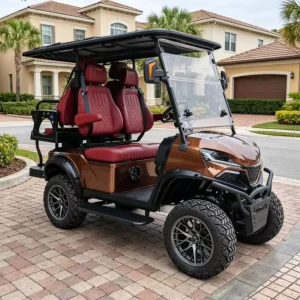 Customizable Electric Golf Cart 4 Seats 48 Volt