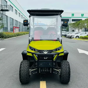 Customizable Electric Golf Carts for Adults Low Speed Buggy Golf Car with Customization Services