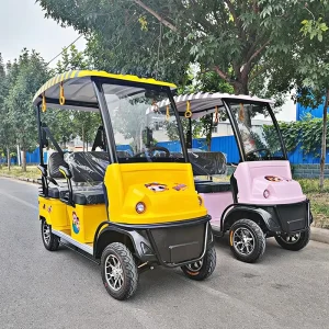 Customizable Electric Golf Carts for Sale Factory