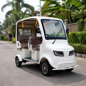 Customizable Electric Golf Trolley for Private Estate with Luxury Retro Look 4 Wheeler
