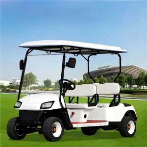 Customizable Four Seater Electric Golf Carts From China Comfortable Features & Unique Colors with Customizable Battery Logos