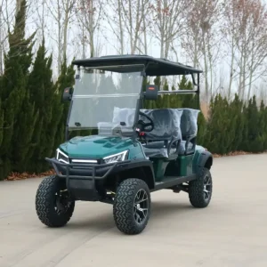 Customizable Four Seats Electric Golf Cart 6 Seater Sightseeing Golf Scooter Off Road Club Car Golf Carts With Lithium Batteries