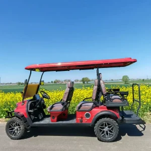 Customizable High Quality Electric Golf Carts Utility Golf Cart Chinese Factory Exports Golf Car on Sale